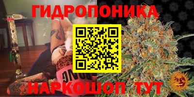 эйфоретик Партизанск