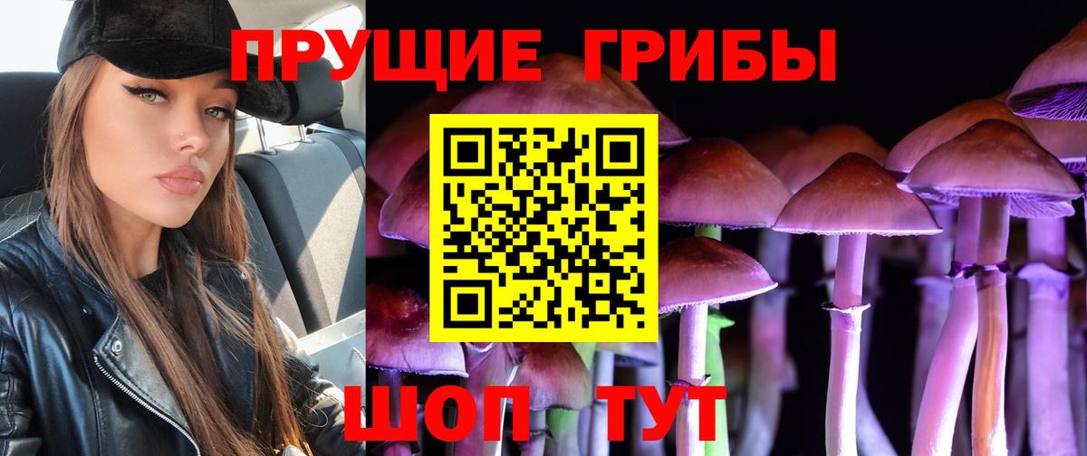Галлюциногенные грибы прущие грибы Псков